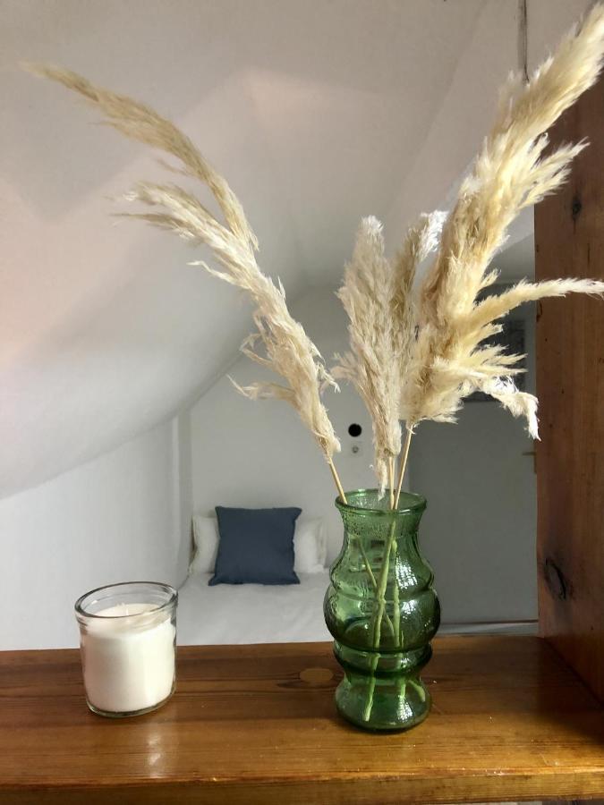Gasthaus Am Schloss Karlsburg 外观 照片